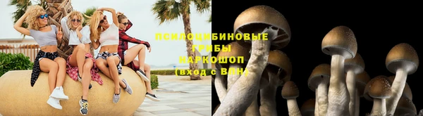 кокс Инта