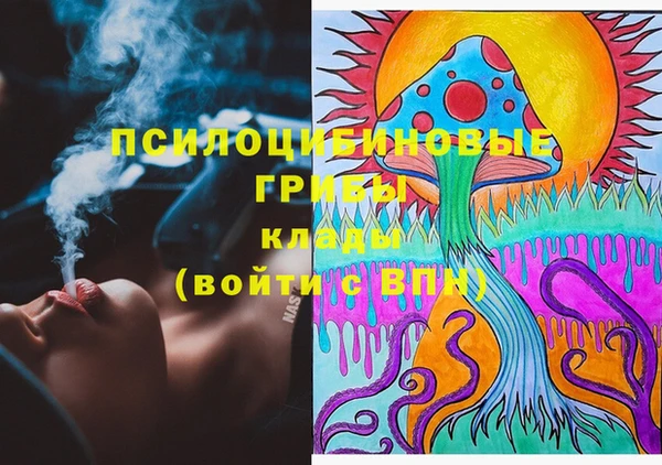 бошки Каменка