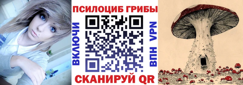 Галлюциногенные грибы Psilocybine cubensis  Купить закладки  Зверево 